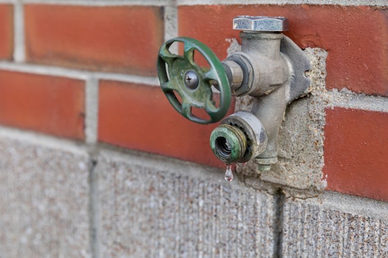Kitchen Faucet Replacement in Denver, CO